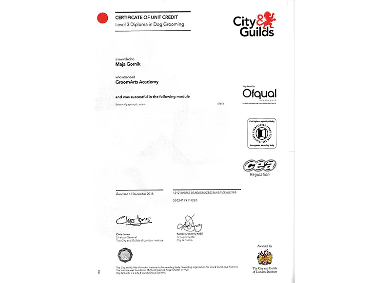 City-Guilds-diploma-01