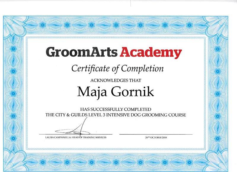 groomarts_academy-01